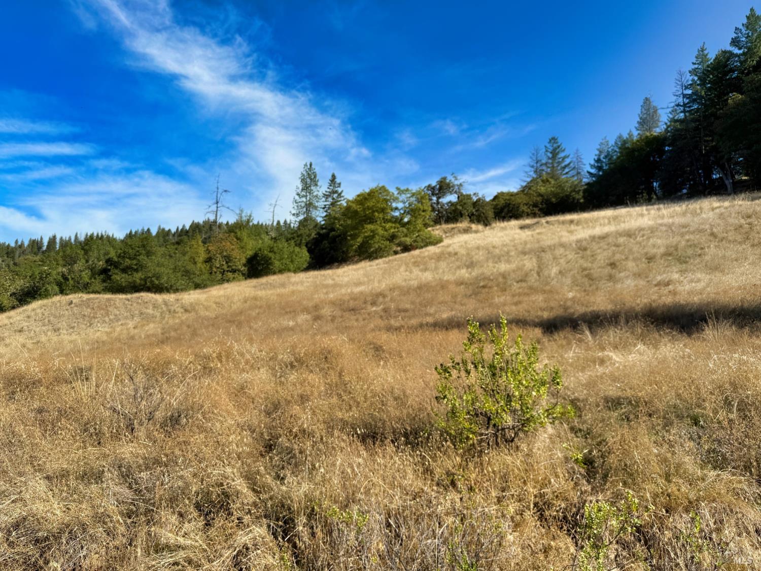 18225 Scenic Drive Redwood Valley CA 95470