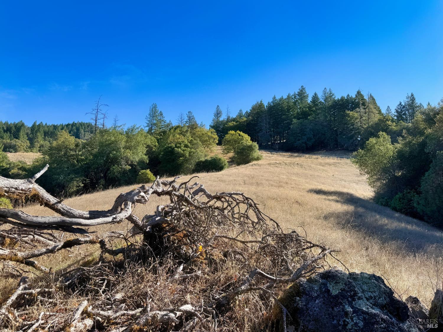 18225 Scenic Drive Redwood Valley CA 95470