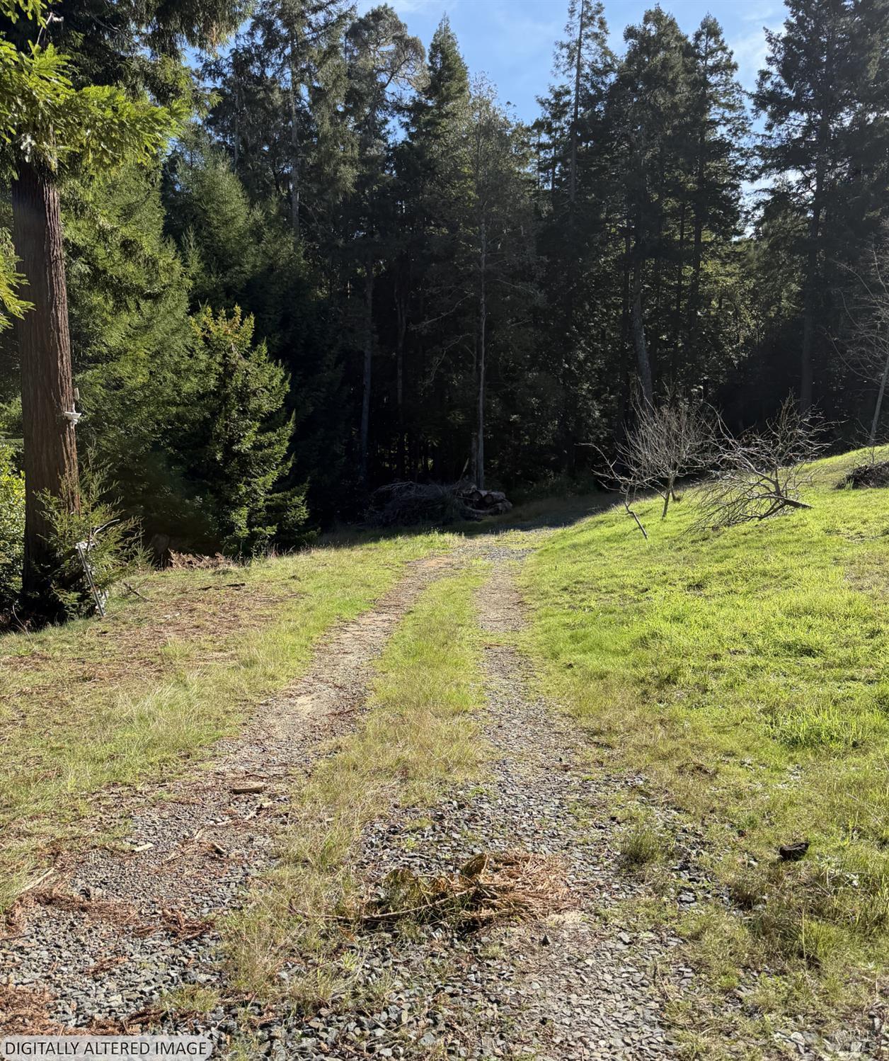 40741 Garcia River Road Point Arena CA 95468