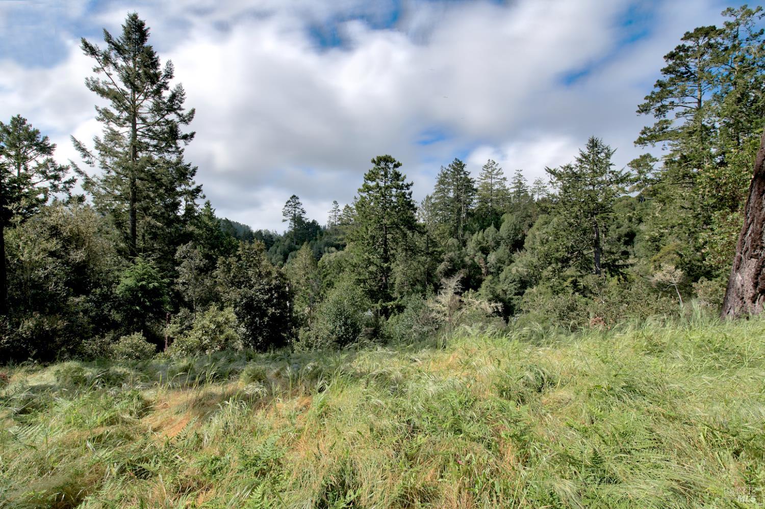 0 Douglas Drive Inverness CA 94937