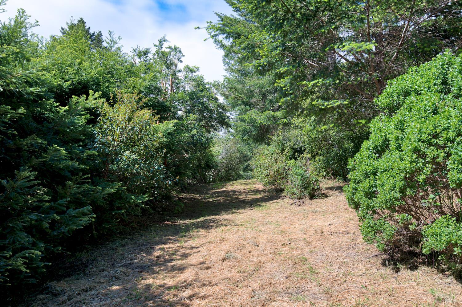 0 Douglas Drive Inverness CA 94937