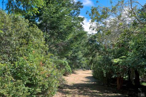 0 Douglas Drive Inverness CA 94937