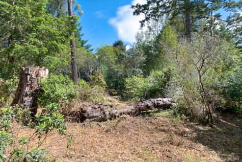 0 Douglas Drive Inverness CA 94937
