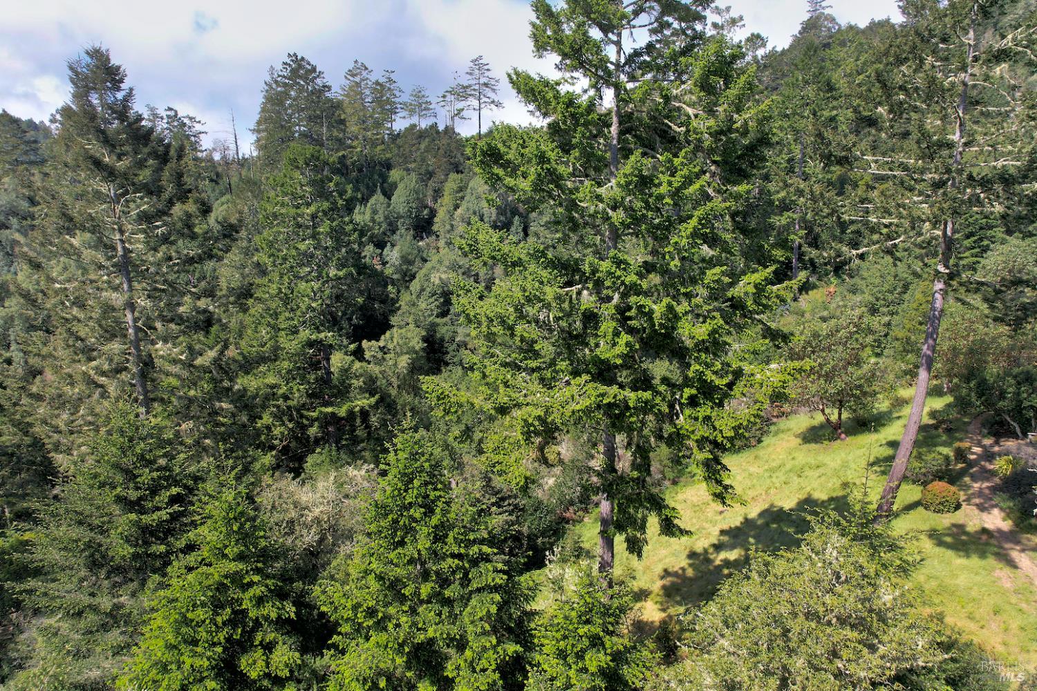 0 Douglas Drive Inverness CA 94937