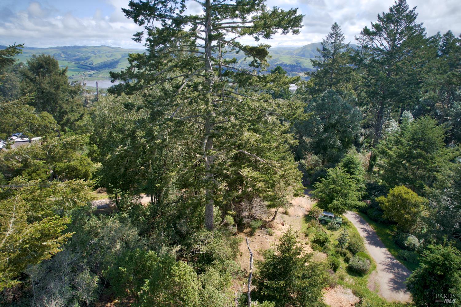 0 Douglas Drive Inverness CA 94937