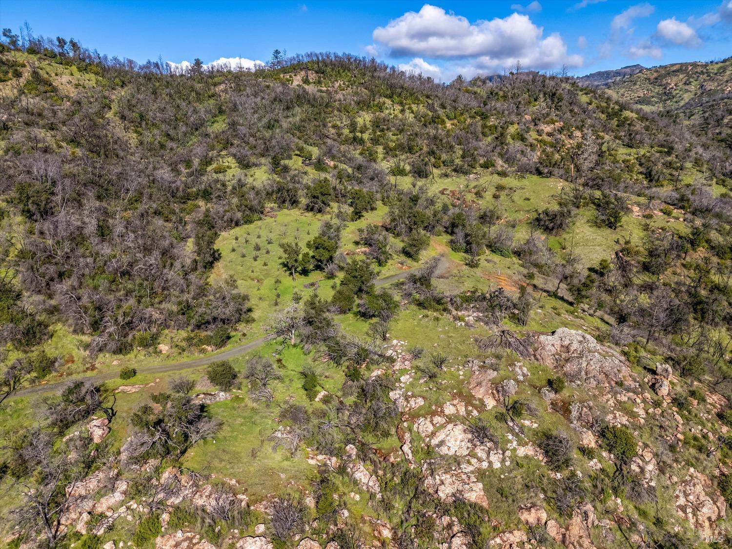 4444 Silverado Trail Calistoga CA 94515