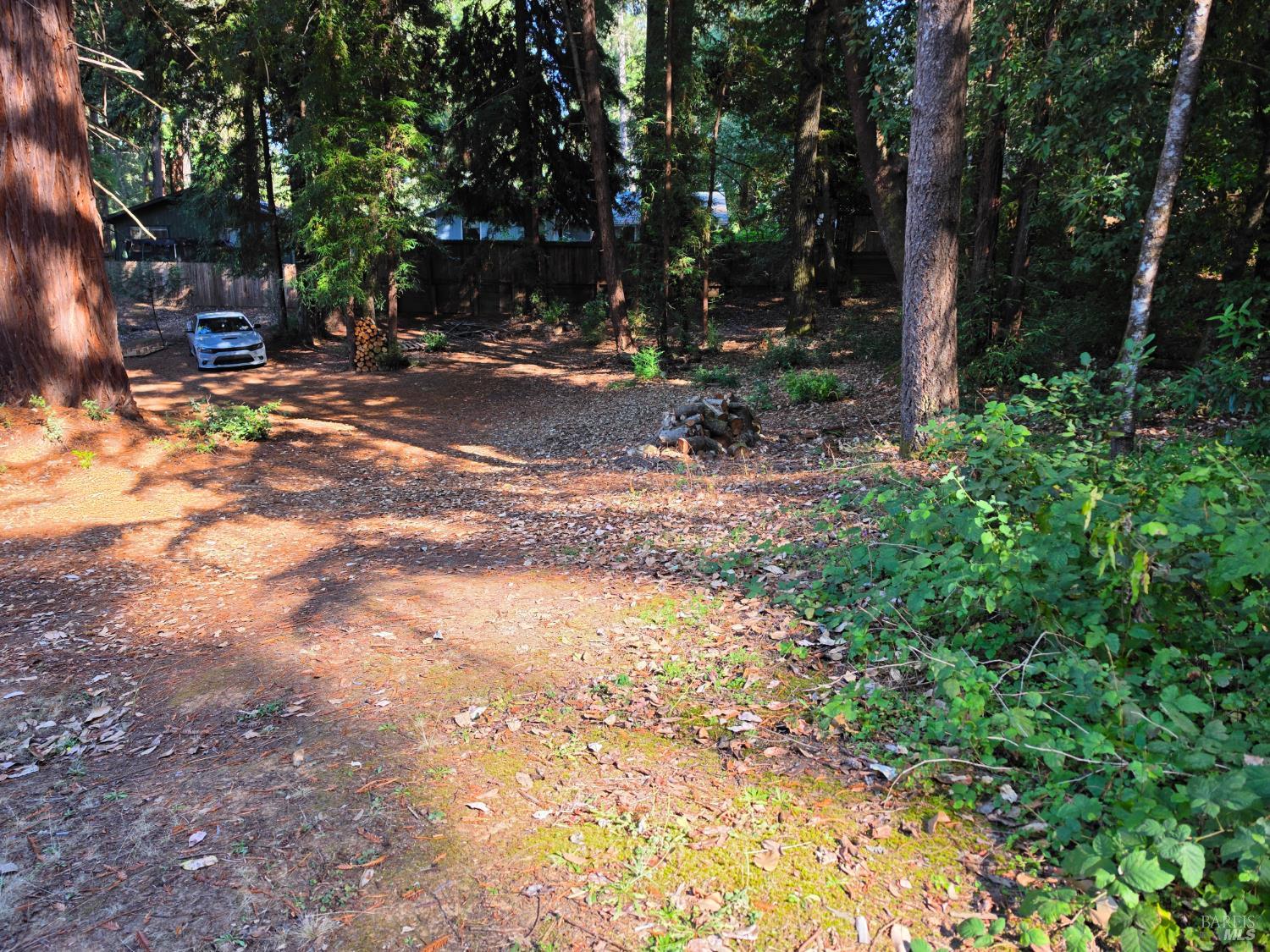 24157 Birch Circle Willits CA 95490