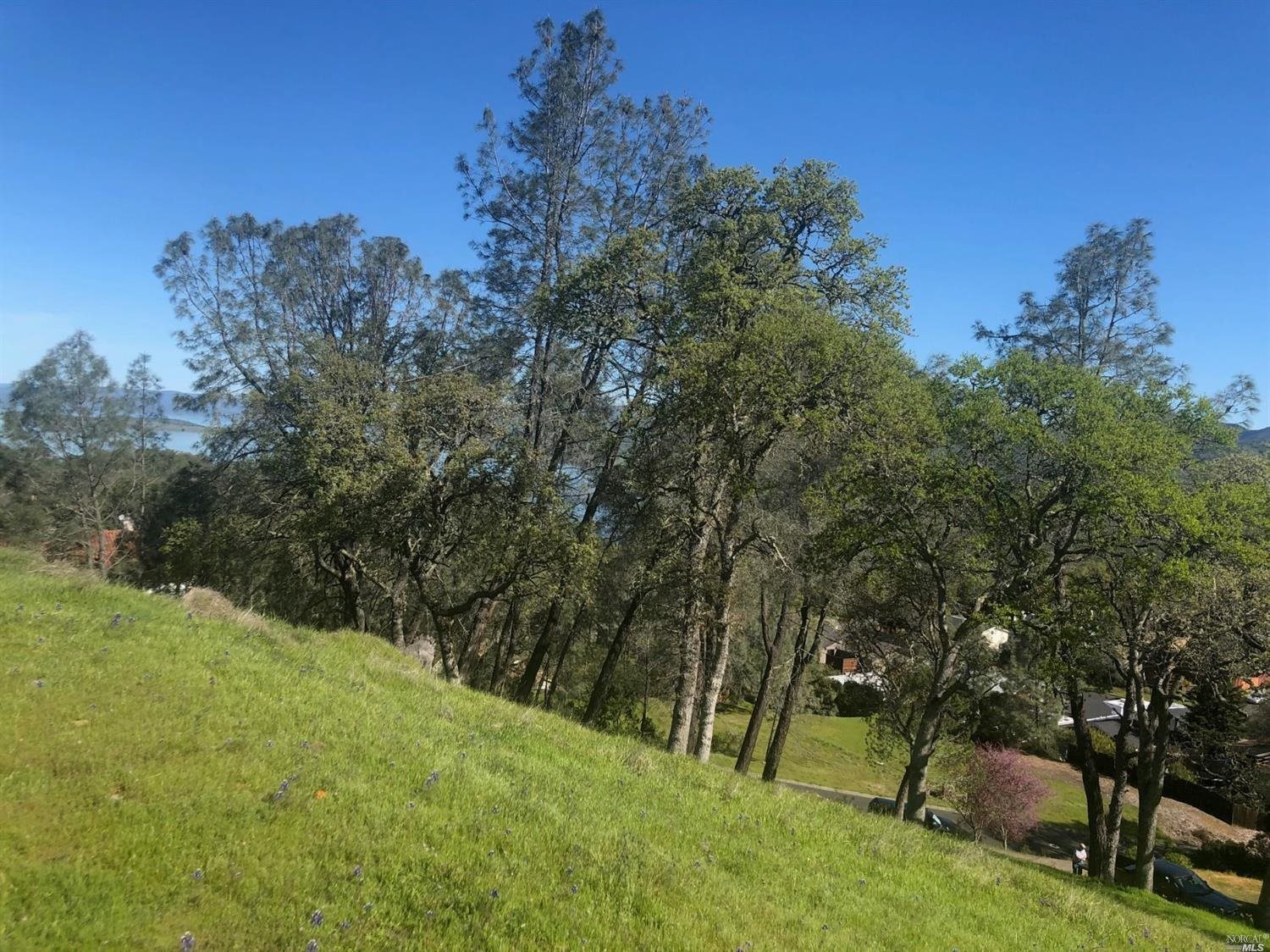 1018 Westridge Drive Napa CA 94558