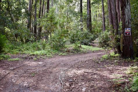 18572 Old Monte Rio Road Guerneville CA 95446