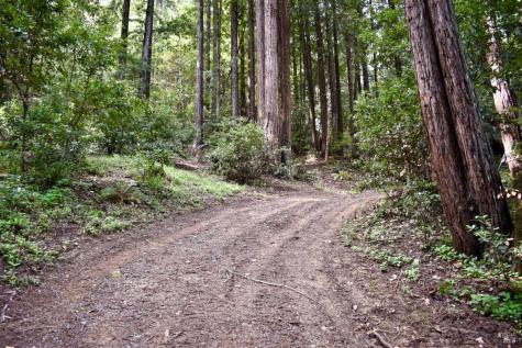 18572 Old Monte Rio Road Guerneville CA 95446