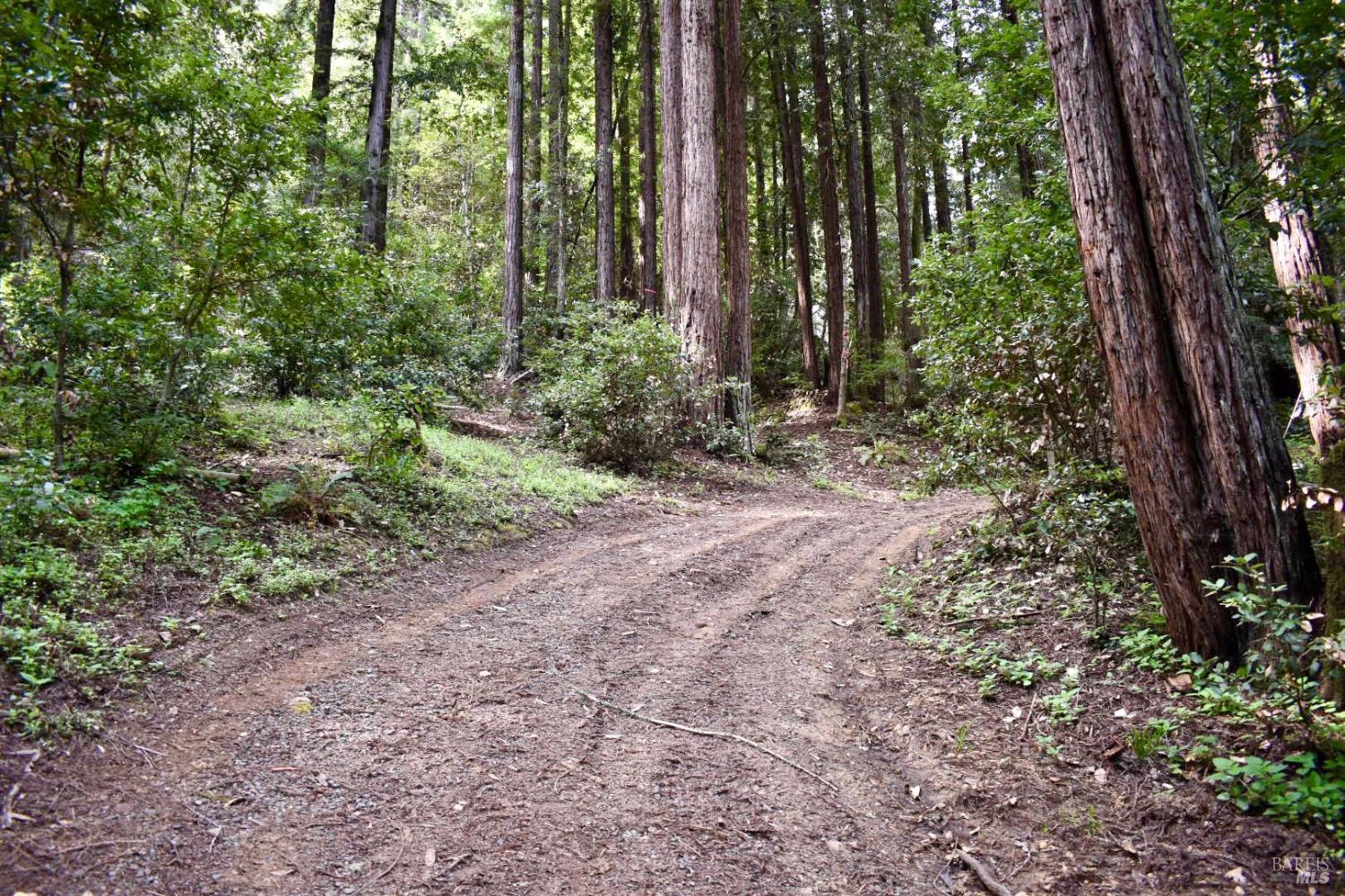 18572 Old Monte Rio Road Guerneville CA 95446