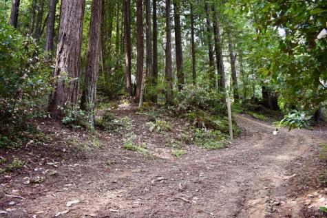 18572 Old Monte Rio Road Guerneville CA 95446