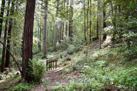 18572 Old Monte Rio Road Guerneville CA 95446