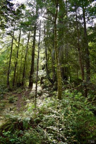 18572 Old Monte Rio Road Guerneville CA 95446