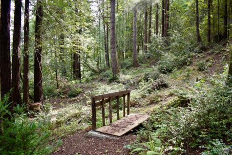 18572 Old Monte Rio Road Guerneville CA 95446