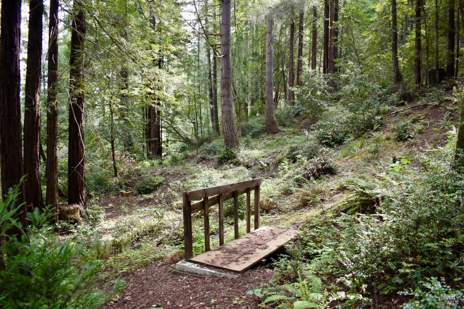 18572 Old Monte Rio Road Guerneville CA 95446