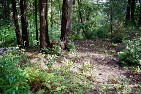 18572 Old Monte Rio Road Guerneville CA 95446