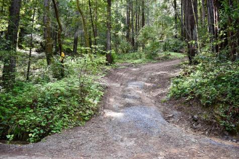 18572 Old Monte Rio Road Guerneville CA 95446