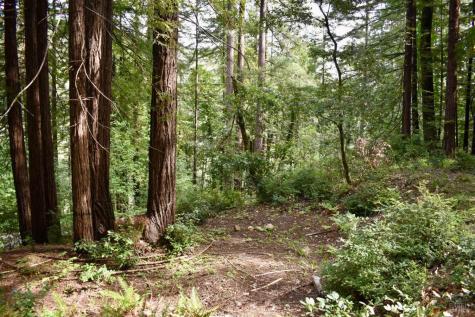 18572 Old Monte Rio Road Guerneville CA 95446