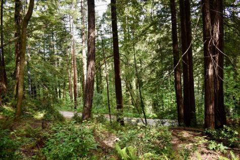 18572 Old Monte Rio Road Guerneville CA 95446