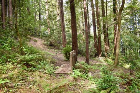 18572 Old Monte Rio Road Guerneville CA 95446
