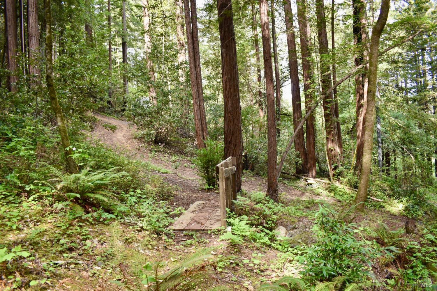 18572 Old Monte Rio Road Guerneville CA 95446
