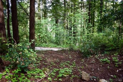 18572 Old Monte Rio Road Guerneville CA 95446