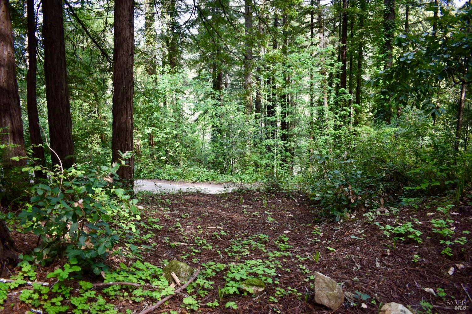 18572 Old Monte Rio Road Guerneville CA 95446