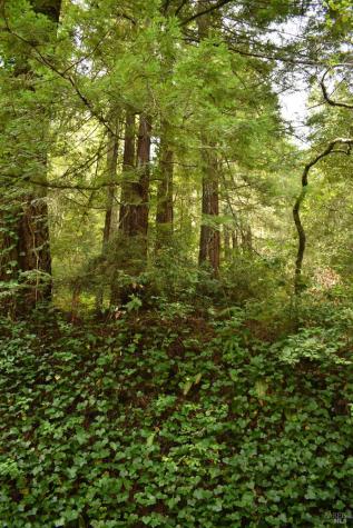 18572 Old Monte Rio Road Guerneville CA 95446