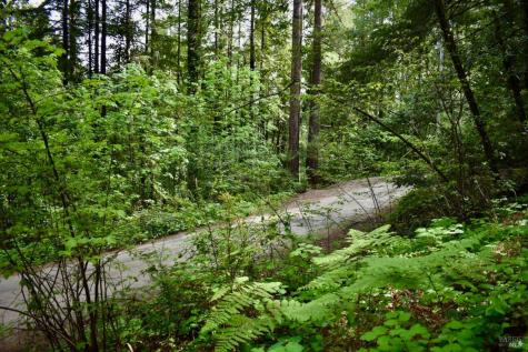 18572 Old Monte Rio Road Guerneville CA 95446