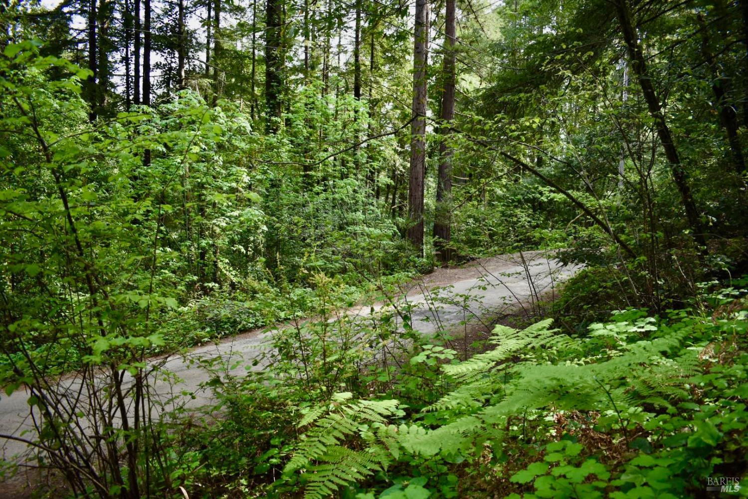 18572 Old Monte Rio Road Guerneville CA 95446