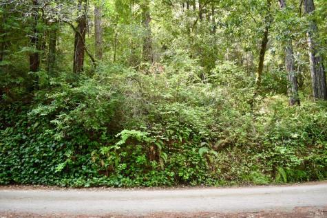 18572 Old Monte Rio Road Guerneville CA 95446