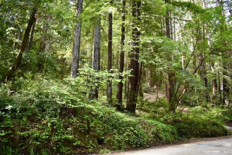 18572 Old Monte Rio Road Guerneville CA 95446
