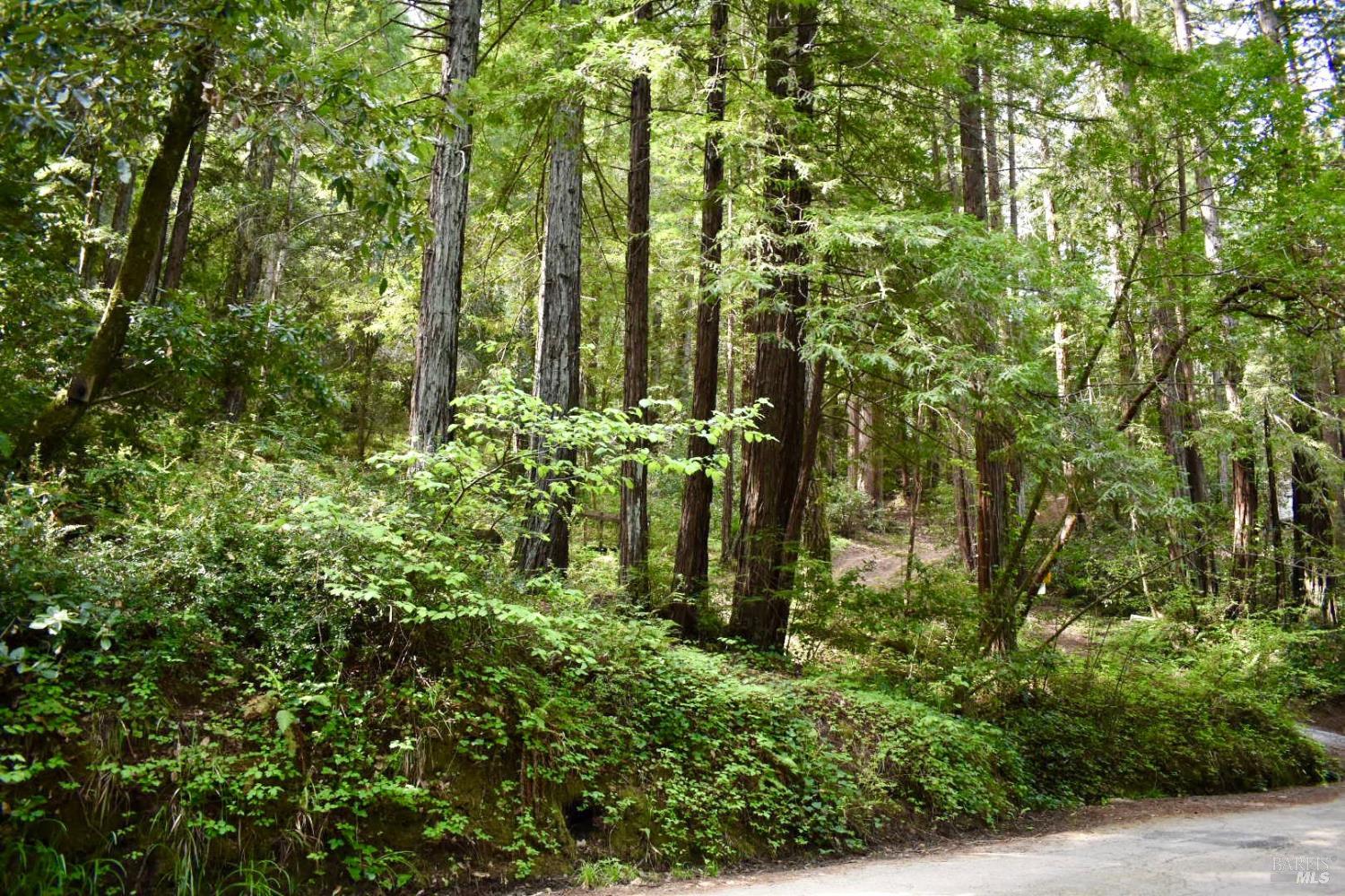 18572 Old Monte Rio Road Guerneville CA 95446
