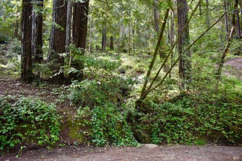 18572 Old Monte Rio Road Guerneville CA 95446