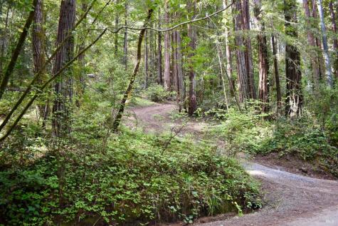 18572 Old Monte Rio Road Guerneville CA 95446