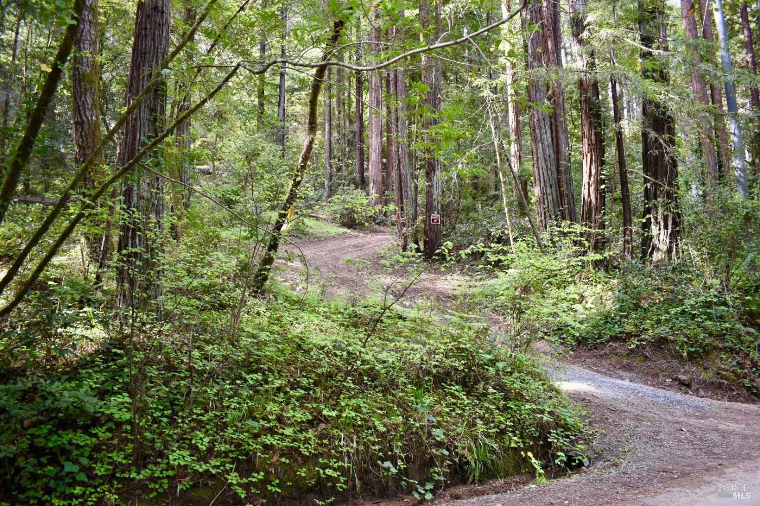 18572 Old Monte Rio Road Guerneville CA 95446