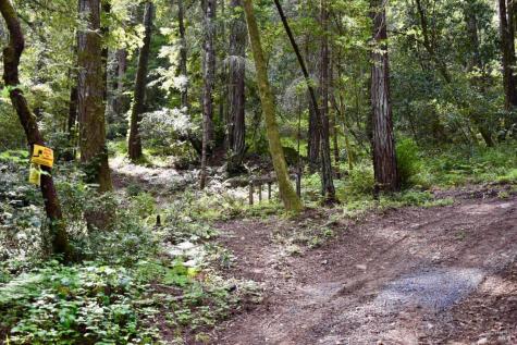18572 Old Monte Rio Road Guerneville CA 95446