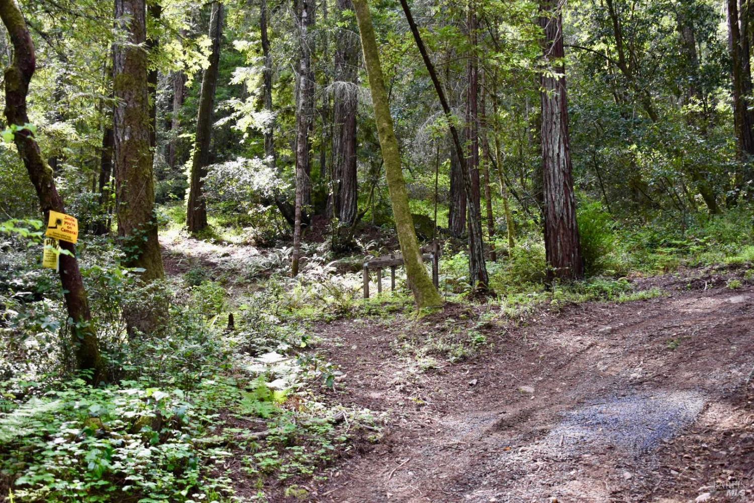 18572 Old Monte Rio Road Guerneville CA 95446