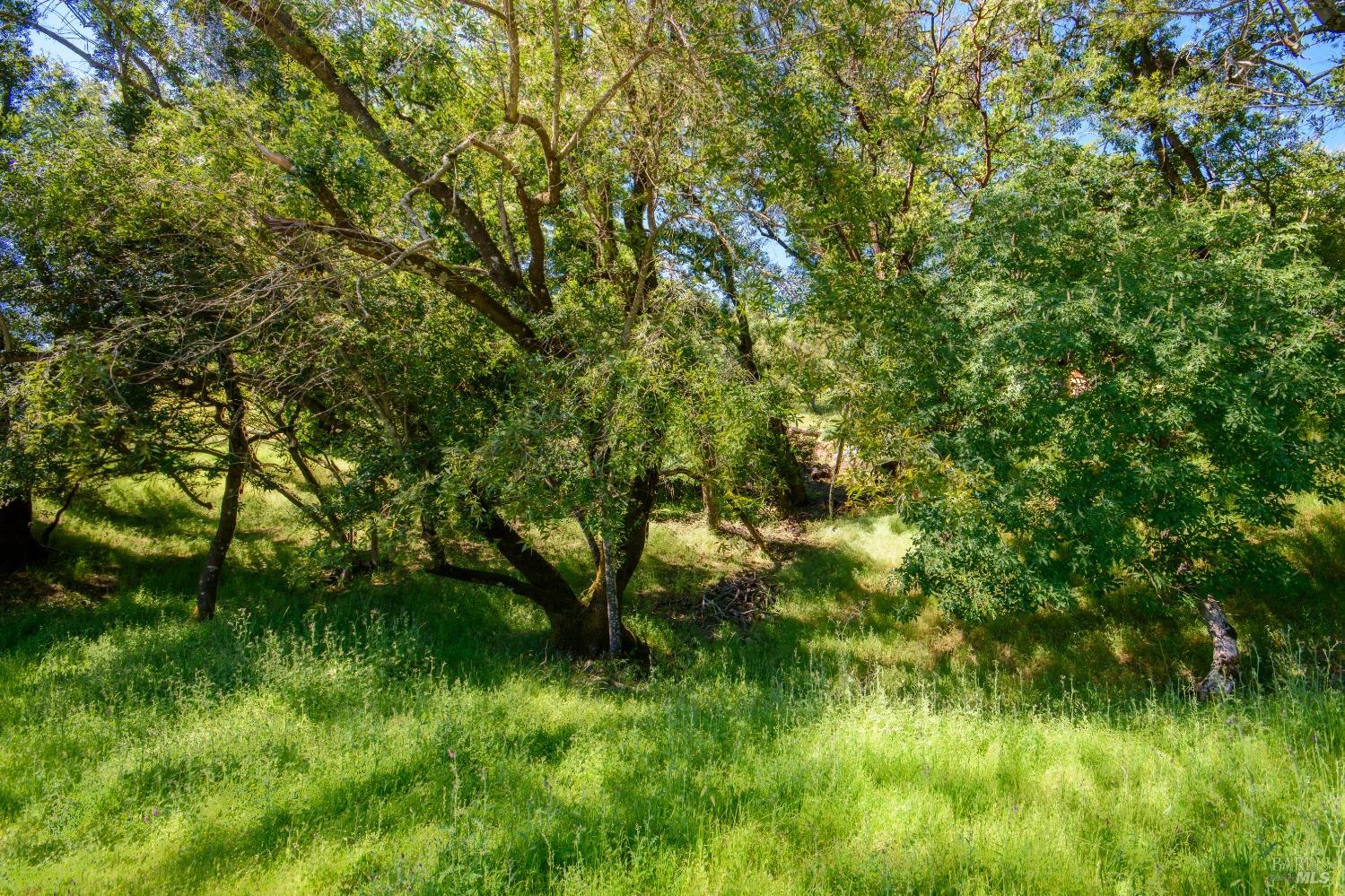 0 Sunnyhill Lane Napa CA 94558