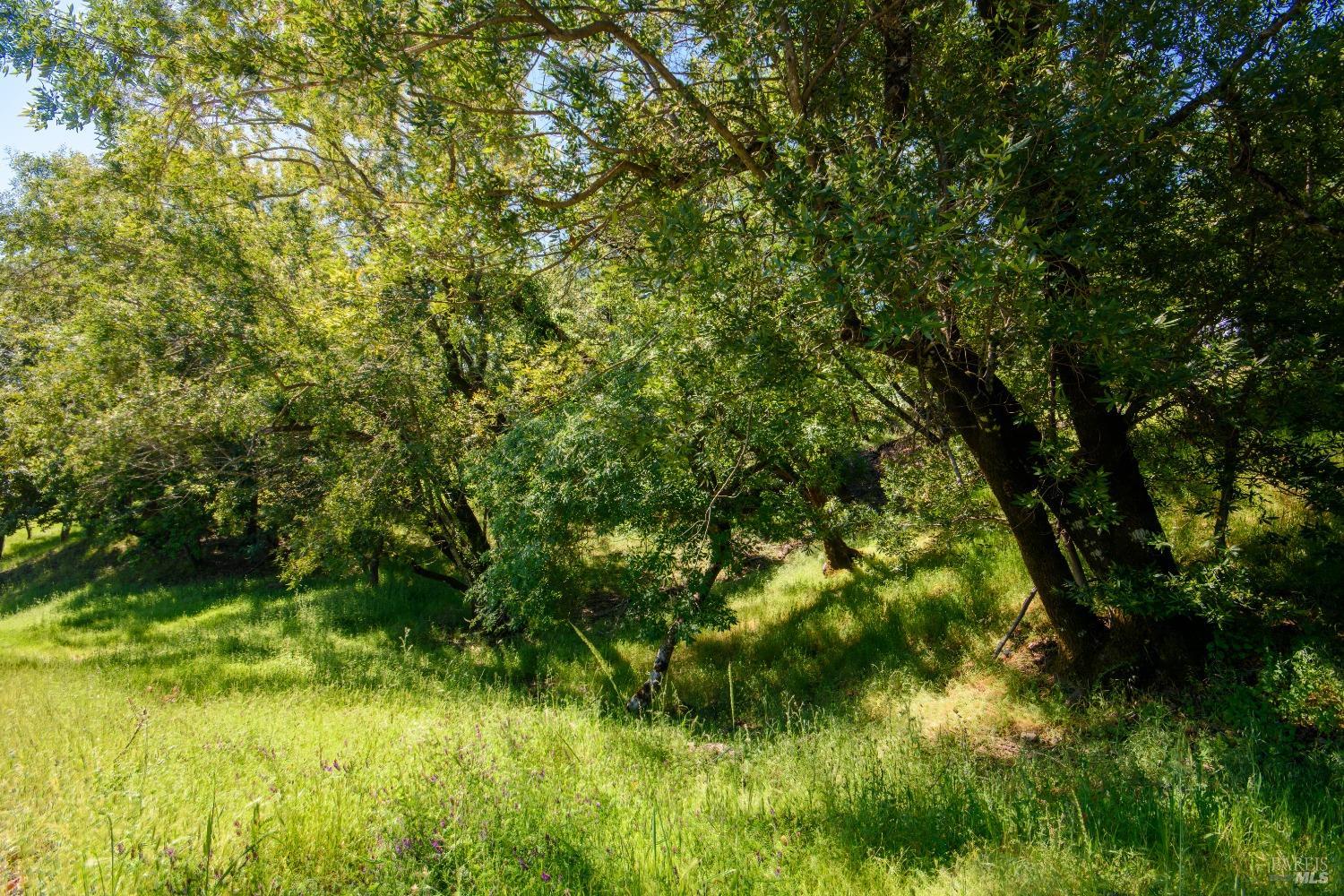0 Sunnyhill Lane Napa CA 94558