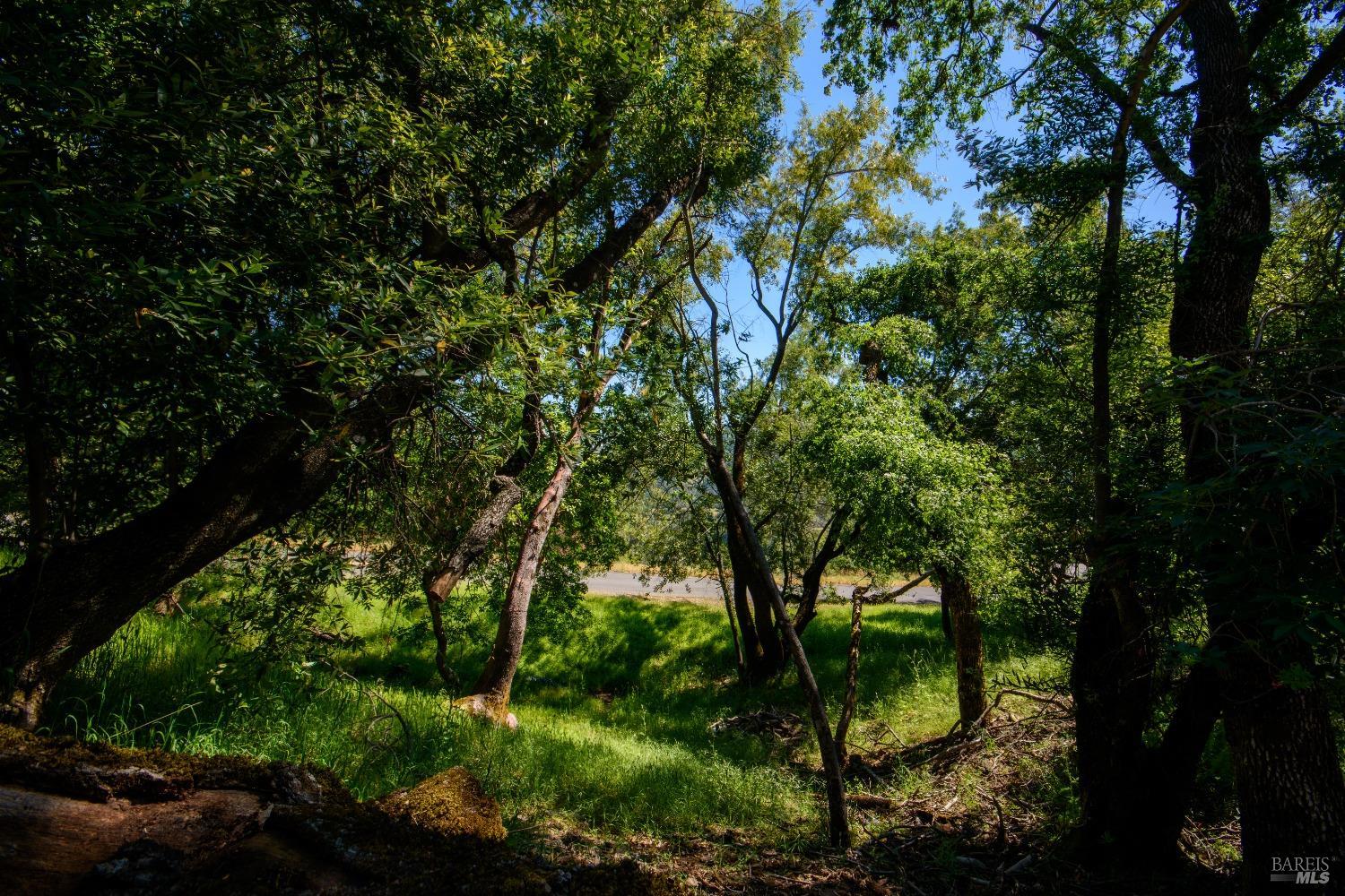 0 Sunnyhill Lane Napa CA 94558