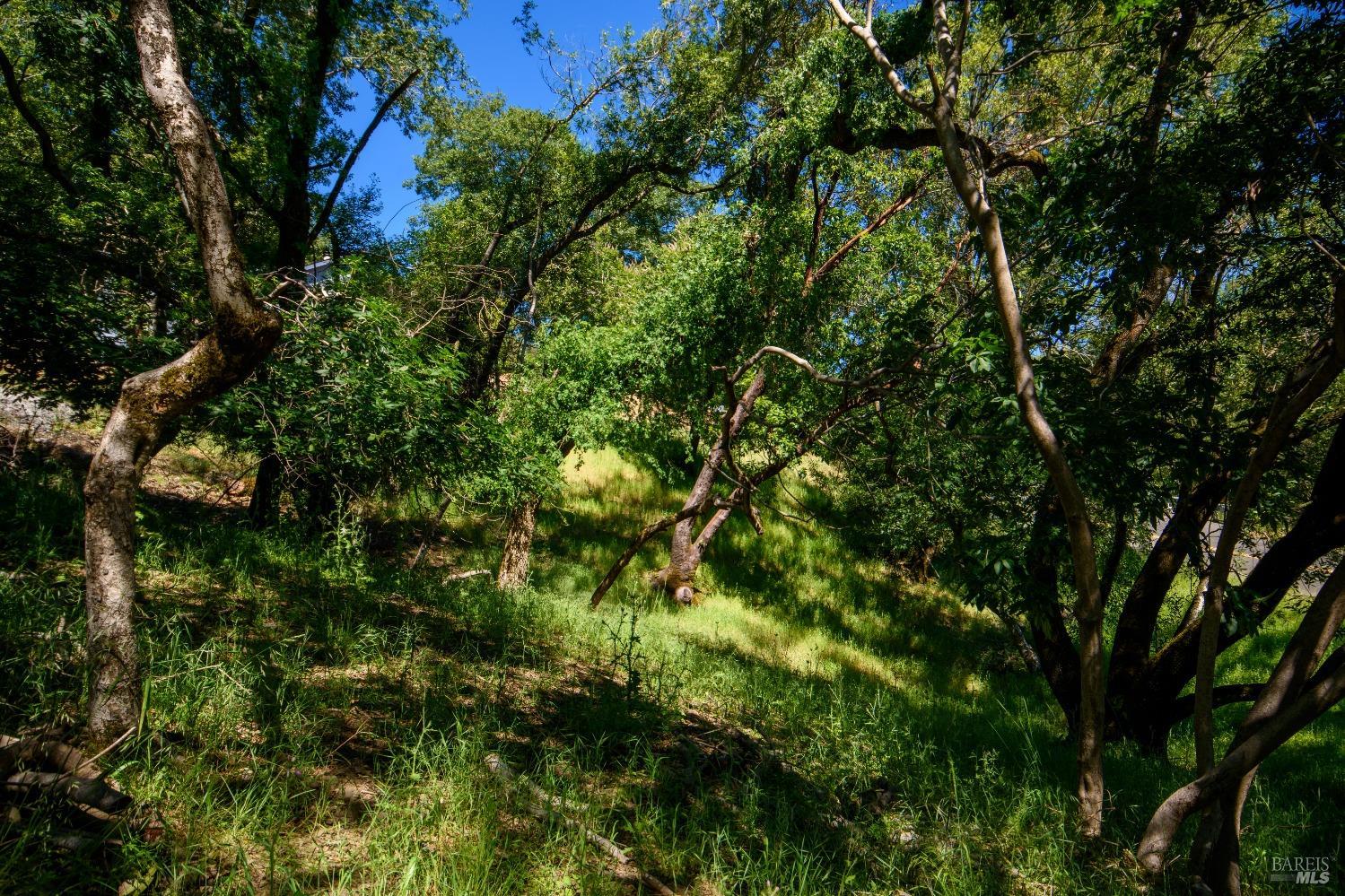 0 Sunnyhill Lane Napa CA 94558