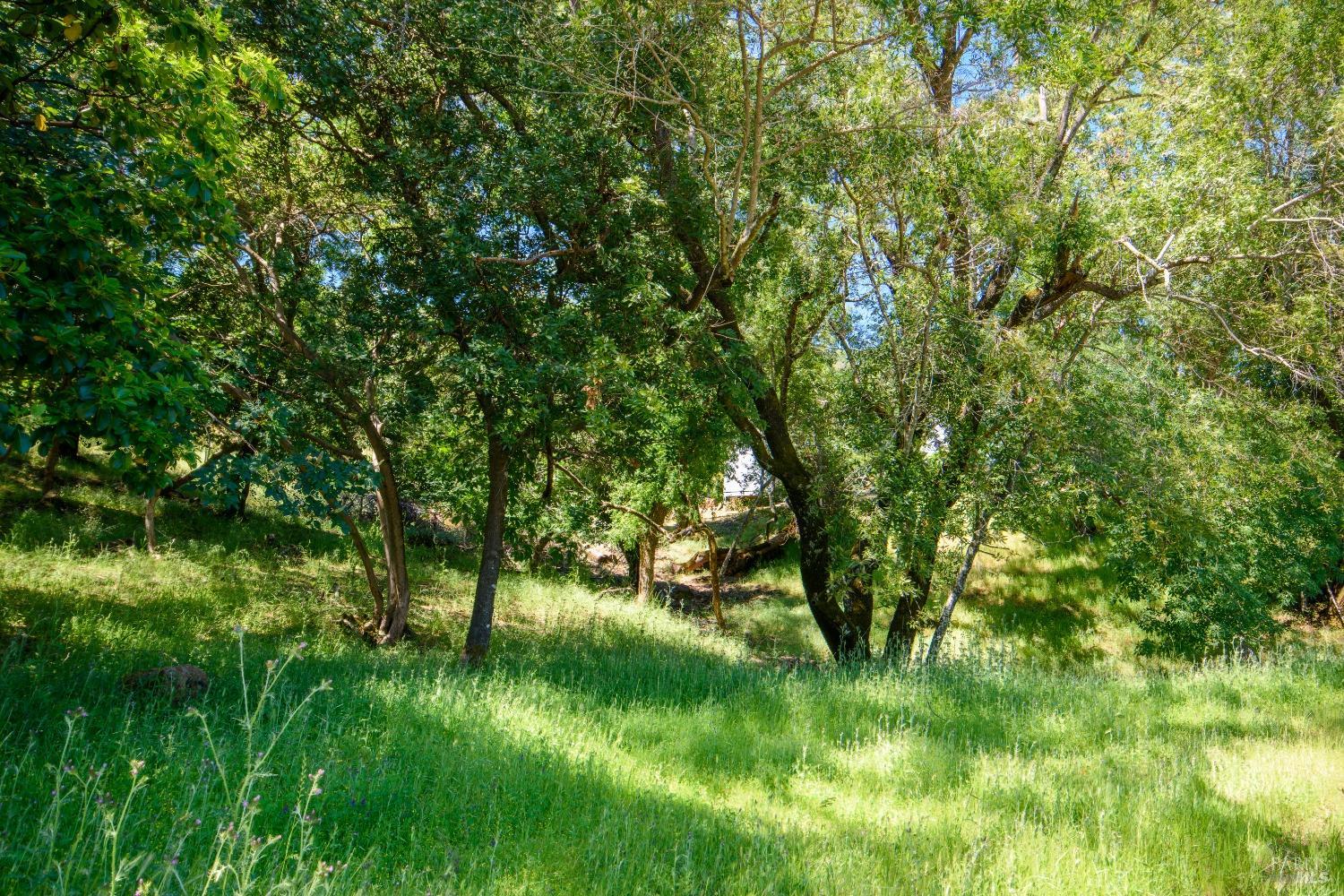 0 Sunnyhill Lane Napa CA 94558