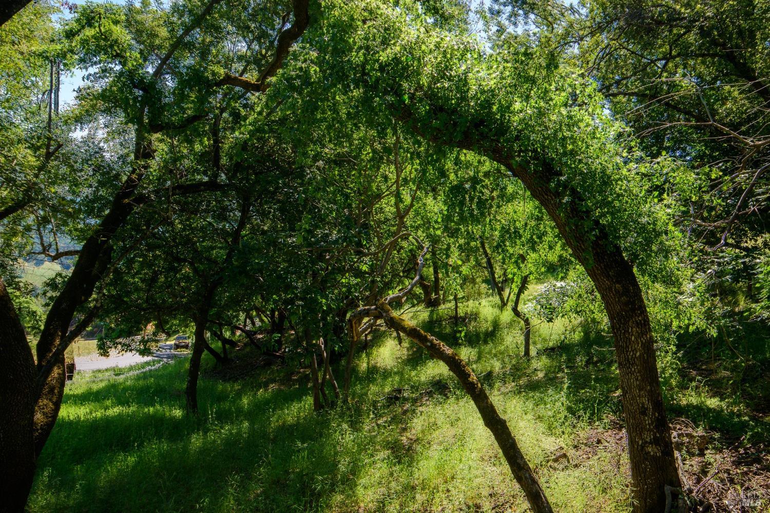 0 Sunnyhill Lane Napa CA 94558