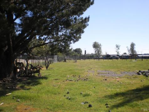 108 W Millbrae Avenue Rohnert Park CA 94928