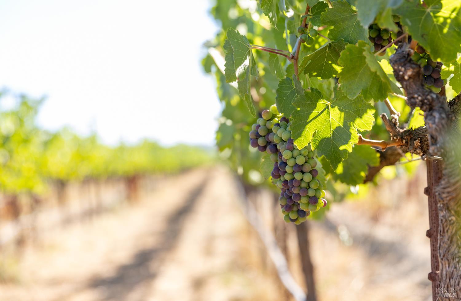 3091 Big Ranch Road Napa CA 94558