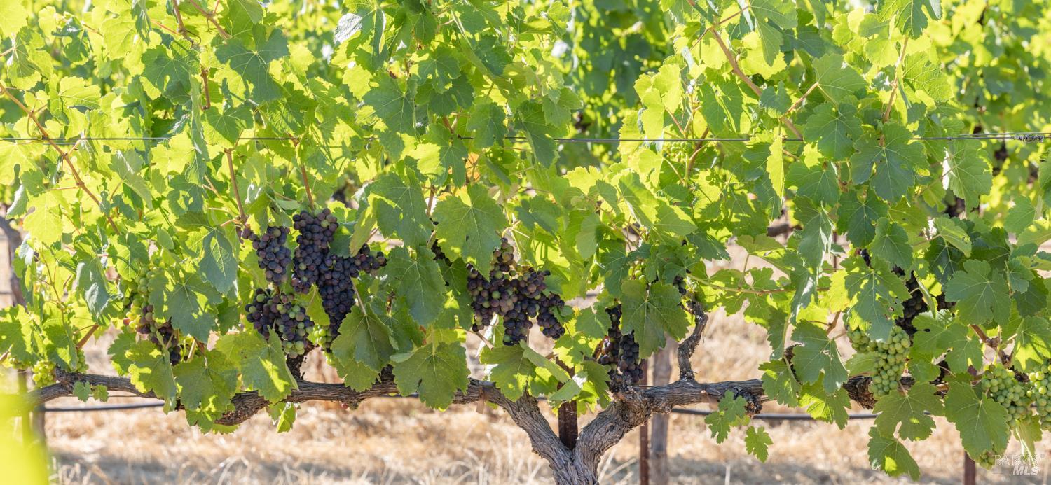 3091 Big Ranch Road Napa CA 94558