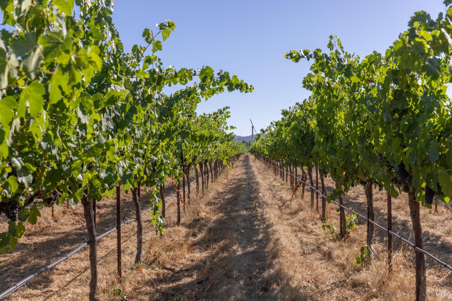3091 Big Ranch Road Napa CA 94558