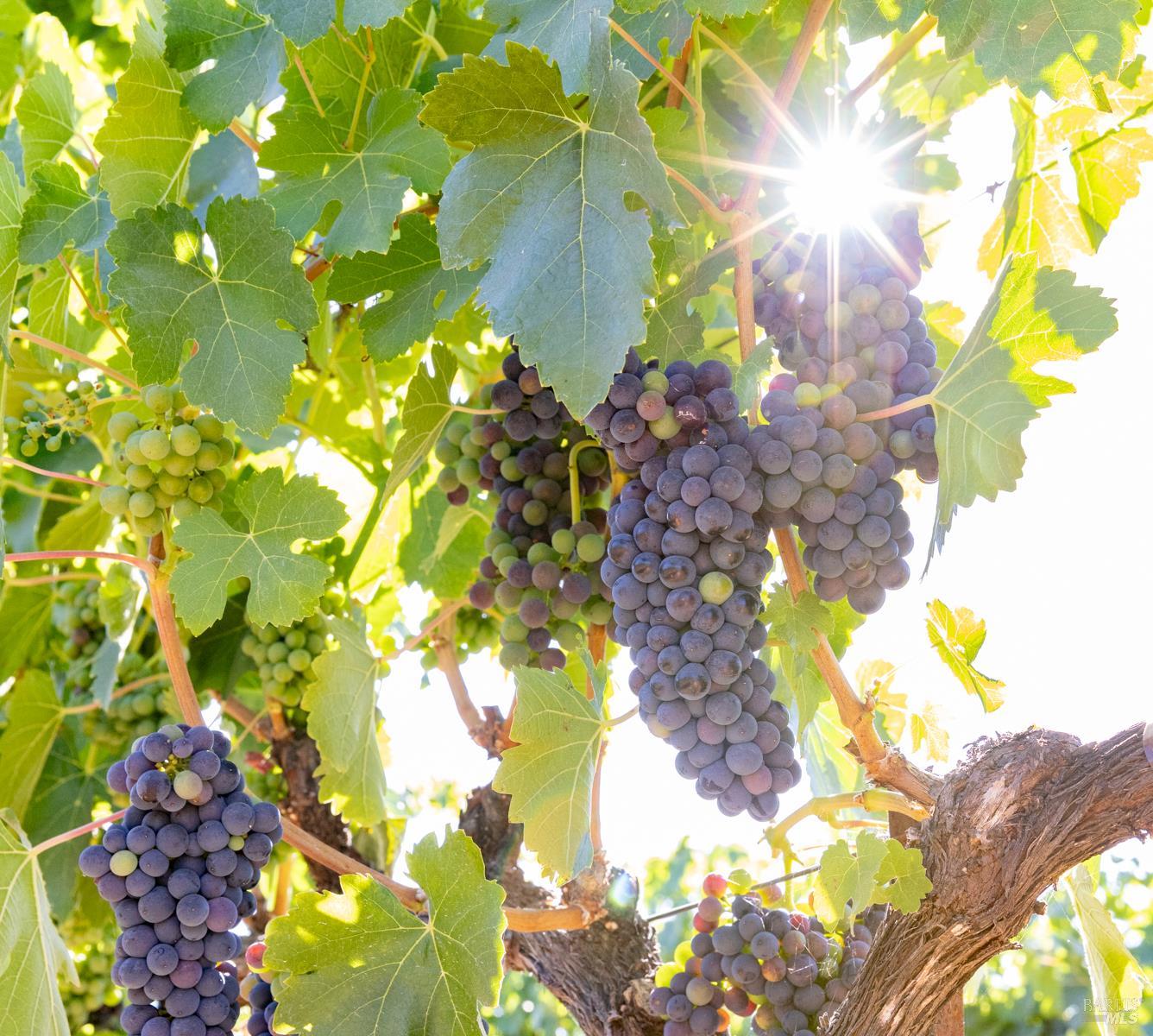 3091 Big Ranch Road Napa CA 94558